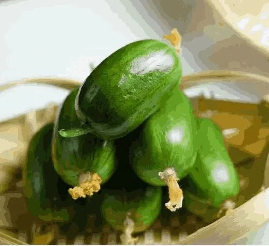 Cucumber Golden Boy Lady Cucumber Seeds Pack of 1 300 Gram - Hariyali Hub