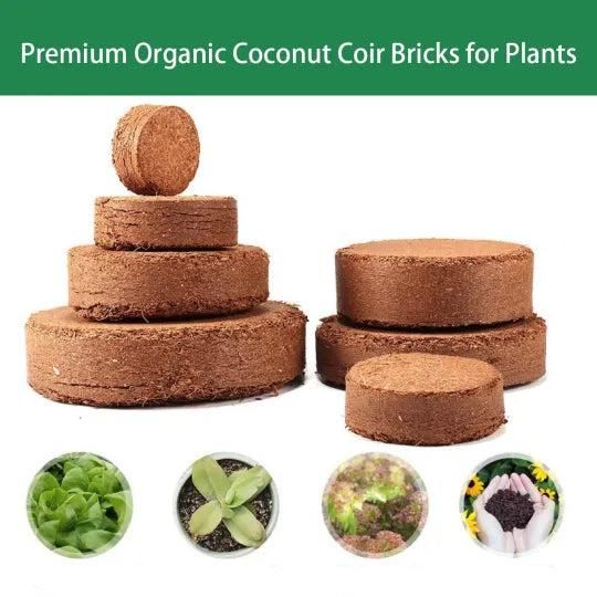 Organic Coconut Coir for Plants Pack of 2 - Hariyali Hub