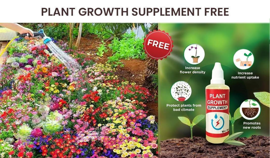 Buy Varieties of Flower Seeds Pack of 100 with Free Plant Growth Supplement - Hariyali Hub