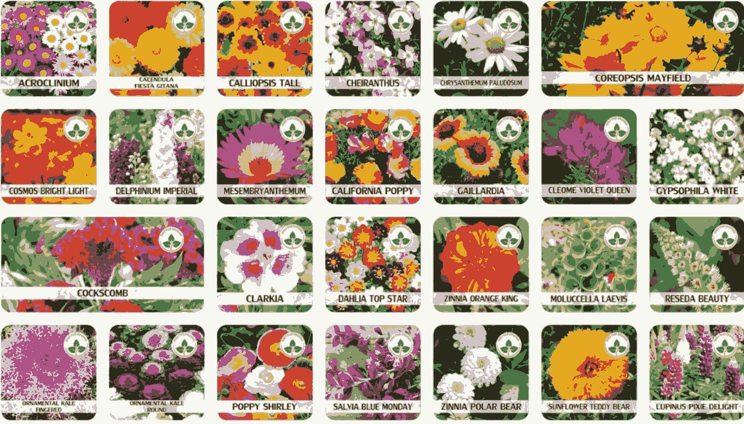Buy Varieties of Flower Seeds Pack of 100 with Free Plant Growth Supplement - Hariyali Hub