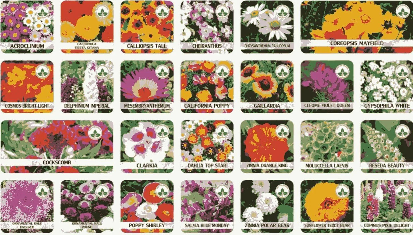 Buy Varieties of Flower Seeds Pack of 100 with Free Plant Growth Supplement - Hariyali Hub