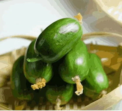 Cucumber Golden Boy Lady Cucumber Seeds Pack of 1 300 Gram - Hariyali Hub