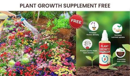 Buy Varieties of Flower Seeds Pack of 100 with Free Plant Growth Supplement - Hariyali Hub