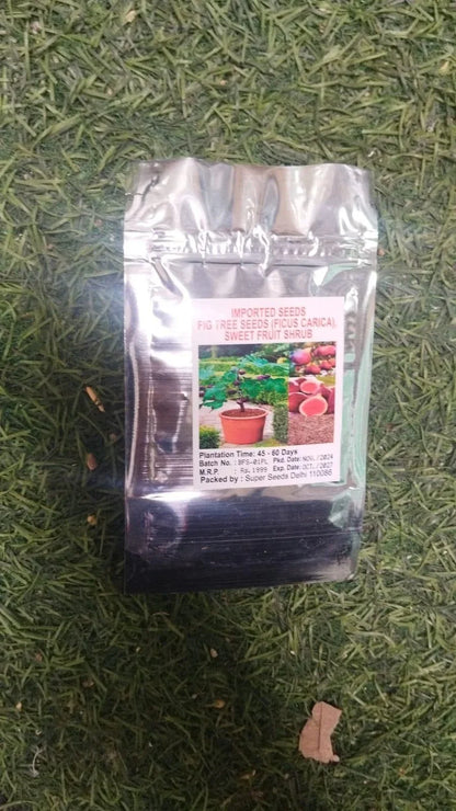 The Latest Ornamental And Edible Mint Varieties Seeds Pack Of 1 100 Gram - Hariyali Hub