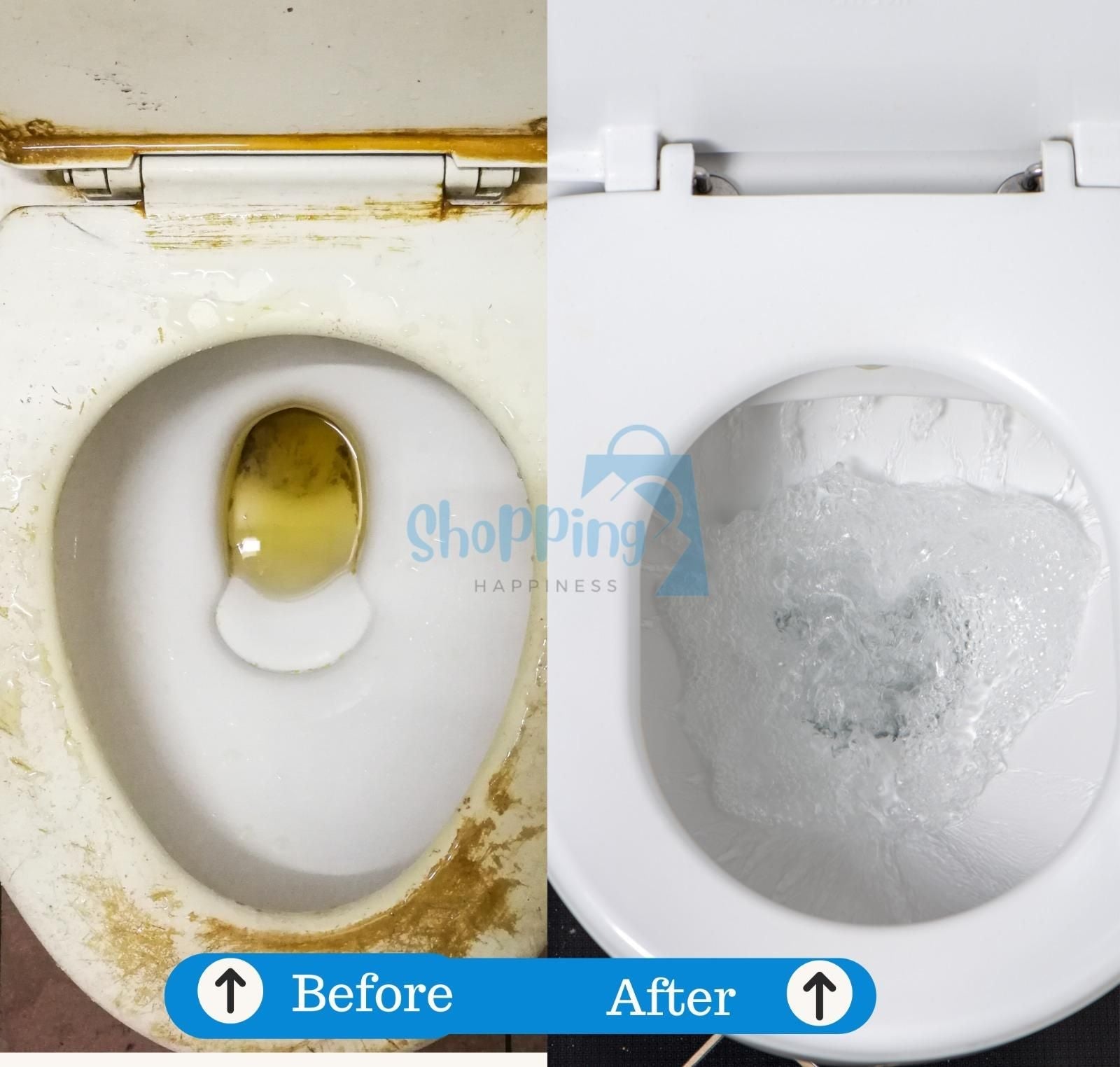 OxyPure Toilet Cleaning Agent 100 gm (Pack of 2) esippn-xy