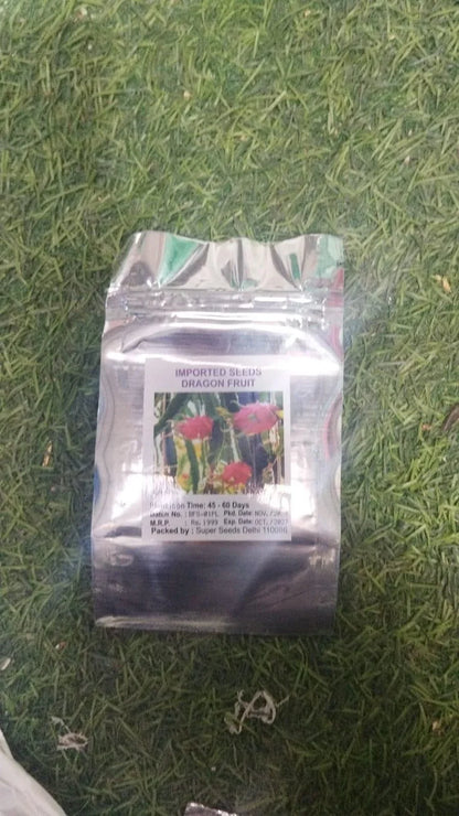 Multi Colored Dragon Fruit Seeds Pack of 1 100 Gram - Hariyali Hub