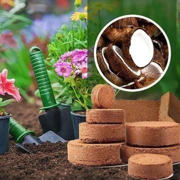Organic Coconut Coir for Plants Pack of 2 - Hariyali Hub